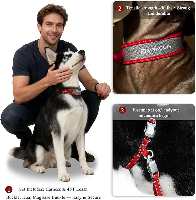 MagEase Dog Collar with 4FT Leash | Adjustable | Anti-Wrinkle, Bite & Stain-Resistant Leather | Soft & Skin-Friendly | 450LB Escape-Proof Magnetic Buckle (Red, Medium)