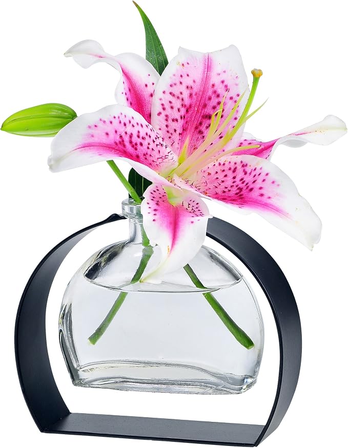 Couronne Company Fiji Recycled Glass Vase & Arched Metal Stand, M246-200-00, 6.0 Ounce Capacity, Clear, 1 Piece