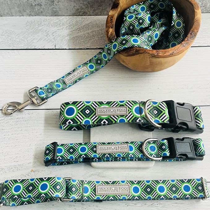 Lucky Love Dog - Easy Click Buckle Dog Collar with Leash Set Combo, Durable & Comfortable for Male & Female Dogs, Pet Collar for Large Dogs, Secure Fit - Leo Combo, Large