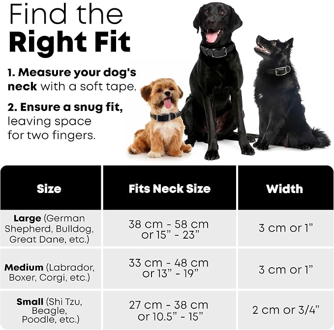 Regal Dog Products Large Black Waterproof Dog Collar and Leash Set | Heavy Duty Double Buckle & D Ring - 5'ft Leash | Adjustable Biothane Dog Collar | Chew Resistant Waterproof Collar for Dogs