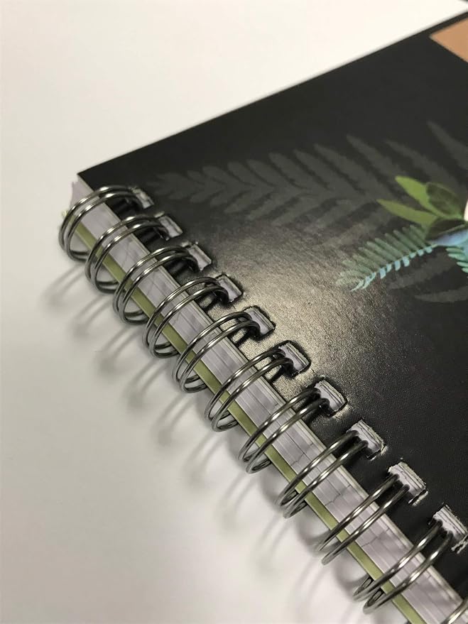 Nu Notebooks - Evolve Range - Recycled Notebook - A4 Notebook - Wirebound Notebook - Stationery Notebooks - Professional Notepad - 120 Pages