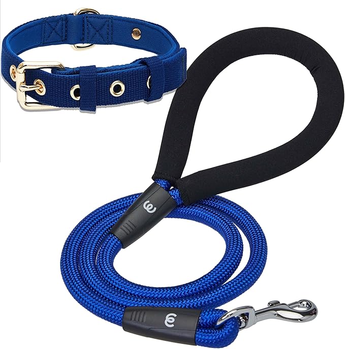 Blueberry Pet Dog Leash & Collar Set - Puppy Essentials for Small Dogs, Heavy Duty Dog Leashes for Large Dogs, Blue Adjustable Neoprene Padded Collar & 4ft Rope Leash, Award-Winning Brand