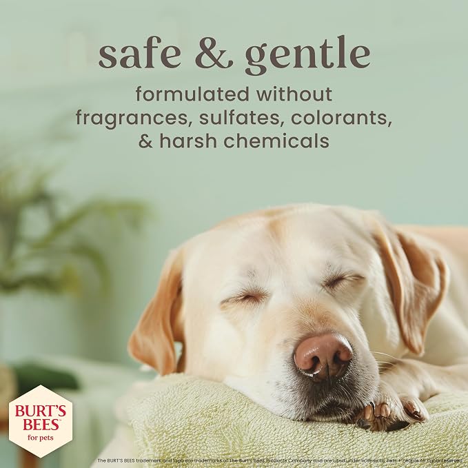 Burt's Bees for Pets Deodorizing Shampoo for Dogs, Manuka Honey & Charcoal, Reduces Odor, 95%+ Natural Origin, No Sulfates, Parabens or Phthalates, Leaves Milk & Honey Scent, 16 Fl Oz