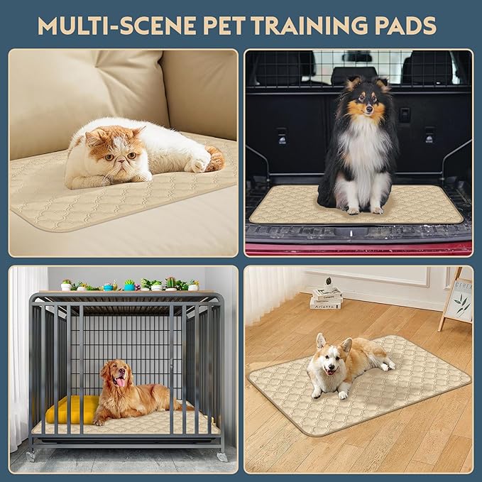 FunFurry Washable Pee Pads for Dogs - 2 Pack Reusable Waterproof Puppy Training Pads, Super Absorbent with Dog Paw Shape Non-Slip Backing (Cream, 36" X 41" - 2 Pack)
