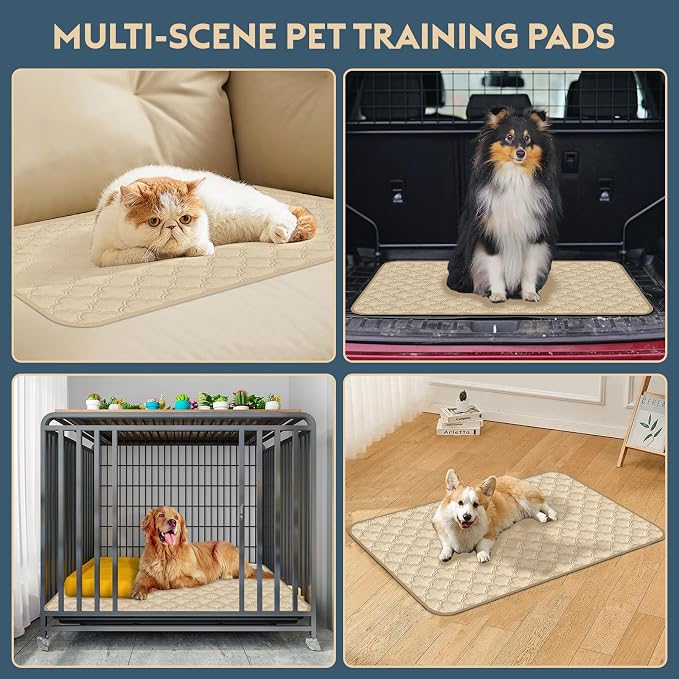 FunFurry Washable Pee Pads for Dogs - 2 Pack Reusable Waterproof Puppy Training Pads, Super Absorbent with Dog Paw Shape Non-Slip Backing (Cream, 24" X 24" - 2 Pack)