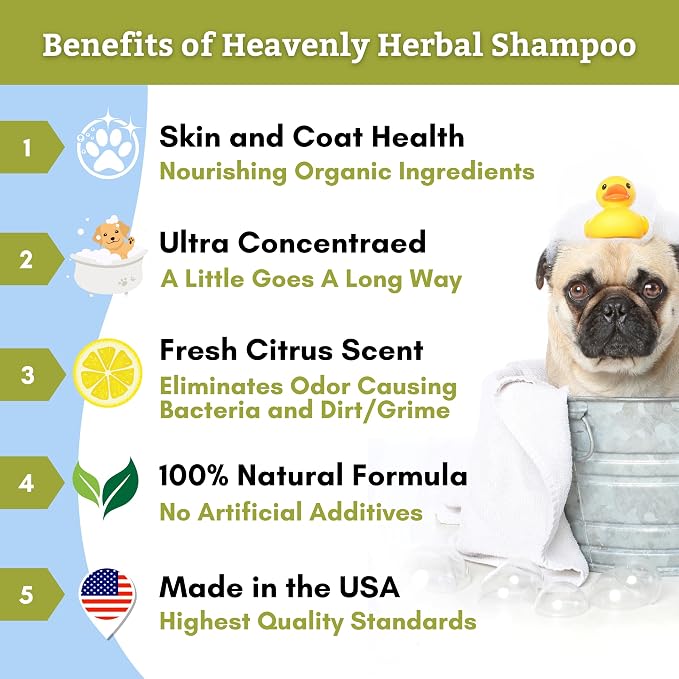 Wholistic Pet Organics Pet Shampoo Concentrate: USDA Organic Cat and Dog Shampoo for Sensitive Skin and Coat Support - Mild and Non-Irritating, Natural, Non-Toxic, Sulfate-Free, & Cruelty-Free - 16 Oz