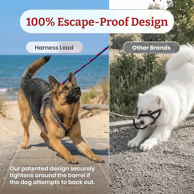 Harness Lead No Pull Dog Harness and Leash Set, Anti Pull Dog Harness, One-Piece Cushioned Rope Safely Prevents Escaping and Pulling (Extra Large,Orange/Reflective)