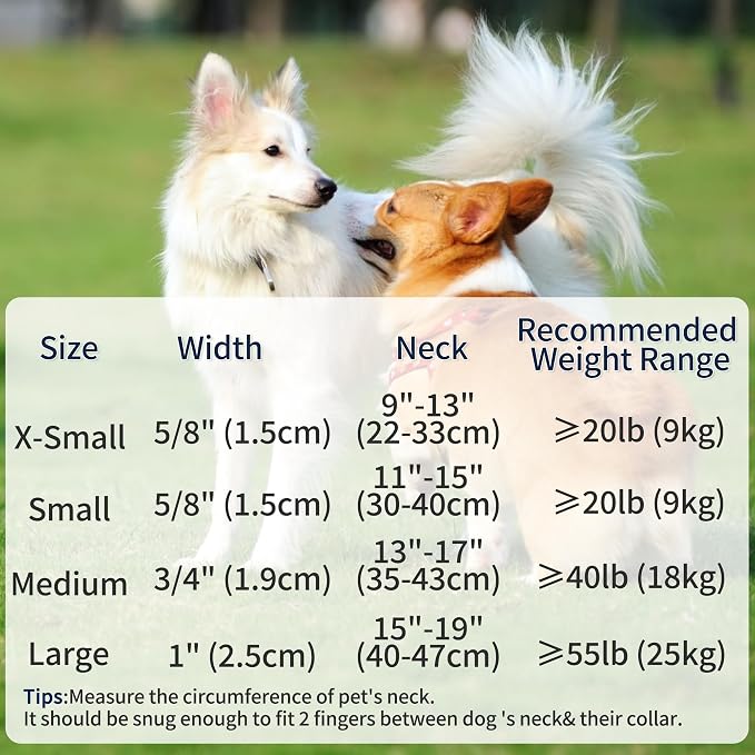 Mile High Life Genuine Leather Dog Collar, Soft Cotton Pet Collars with Heavy Metal Buckle for Small Large Dogs (Red, M Neck 15"-18")