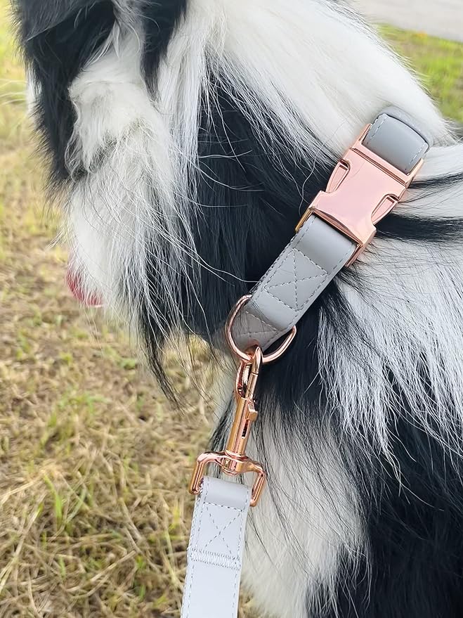 Dog Collar and Leash Set.Soft and Easy to Clean Vegan Leather with Rose Gold Metal Buckle for Small Medium Large Dogs (Grey, S(12.2"-16.9"))
