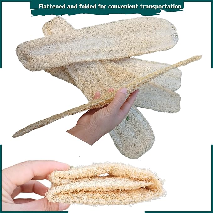 10 Pcs (5 – 7 Inches) Shower Loofah Exfoliating Body Scrubber | Natural Loofah Sponge | Bath for Loofah for Men and Women | Pack of 10