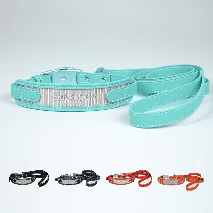 MagEase Dog Collar with 4FT Leash | Adjustable | Anti-Wrinkle, Bite & Stain-Resistant Leather | Soft & Skin-Friendly | 450LB Escape-Proof Magnetic Buckle (Light Blue, Large)