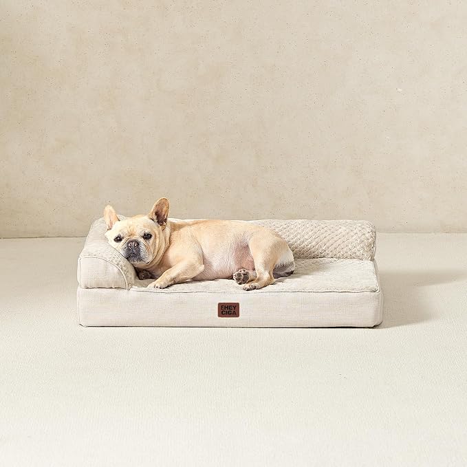 EHEYCIGA Memory Foam Dog Bed Large Size Dogs, Orthopedic Dog Bed Large with Washable Removable Cover, Waterproof Pet Sofa Couch with Nonskid Bottom, 36x27x6, Beige