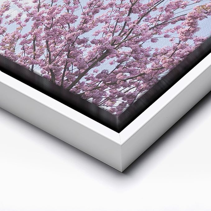 Monem Art Cherry Blossom Spring Sky Photography Print - Floral Nature Art Poster - Wall Decor for Living Room, Bedroom or Office - 16x20 White Framed CANVAS Wall Art by Mareike Bohmer