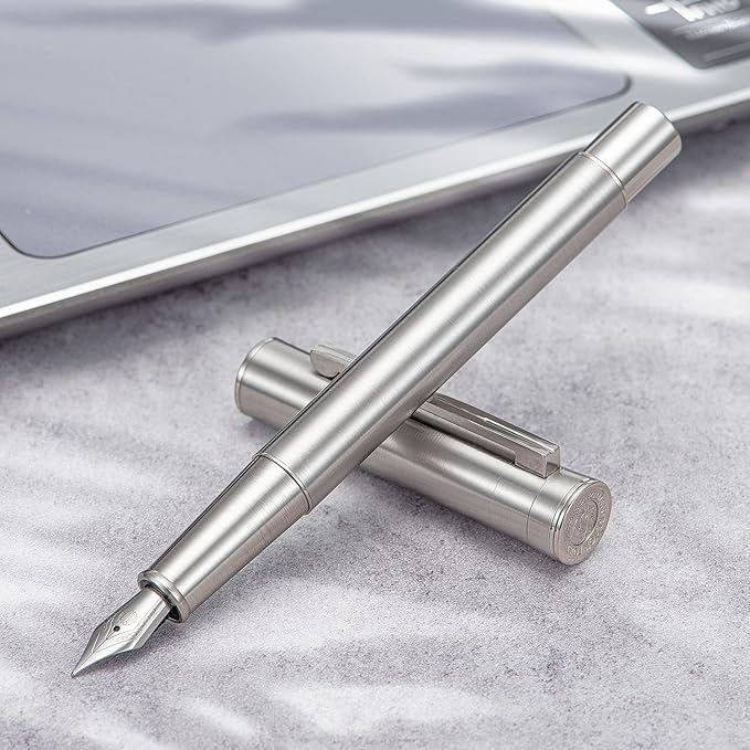 HONG DIAN Forest Pro Silver Stainless Steel Fountain Pen, Fine Nib Classic Design Consistent Writing Pen with Ink Refill Converter and Metal Pen Case Set