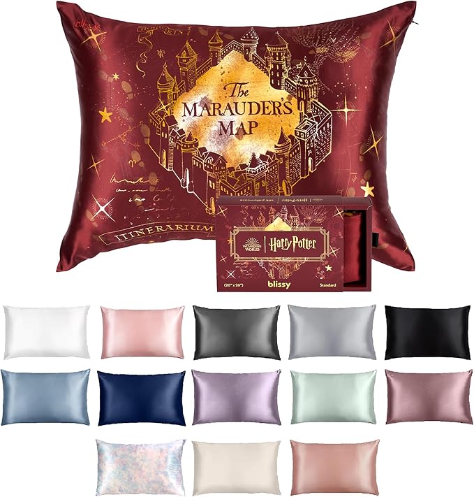 Blissy Silk Pillowcase - 100% Pure Mulberry Silk - 22 Momme 6A High-Grade Fibers - Silk Pillow Cover for Hair & Skin - Regular, Queen & King (Harry Potter - Marauder's Map, Standard)