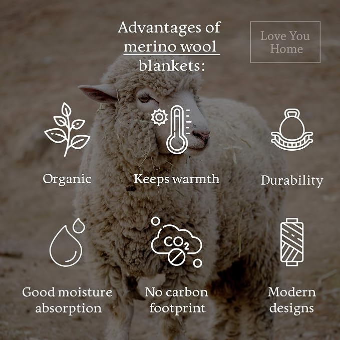 LYHome Merino Wool Blanket - Warm Throw for Cold Weather, Warmest Travel Outdoor Camping Blankets, Picnic Army and Military Throws, Comforter Soft & Cozy (55" x 79" Grey with Blue and White Stripes)