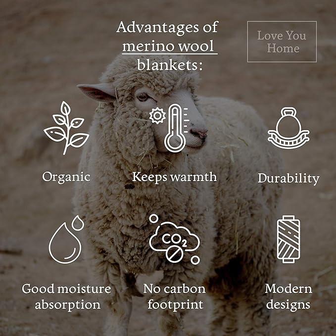 LYHome Merino Wool Blanket - Warm Throw for Cold Weather, Warmest Travel Outdoor Camping Blankets, Picnic Army and Military Throws, Comforter Soft & Cozy (55" x 79" Navy Blue with White Raindeers)