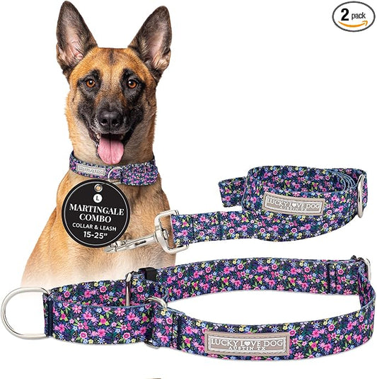 Lucky Love Dog Martingale Dog Collar & Leash - Adjustable, No-Slip, Durable, Comfortable, Soft Webbing, & Stylish Patterned Collar & Leash Set for Male and Female Dogs - Primrose Combo, Large