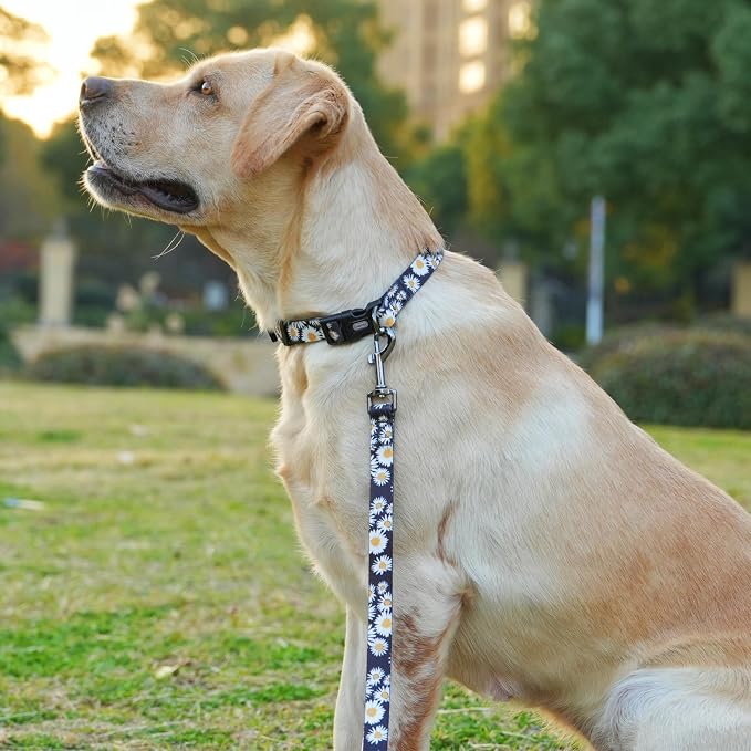 Dog Collar and Leash Set, Cute Daisy Pattern, Polyester Material, 5ft Leash, for Large Dogs.(Large,Black Daisy)