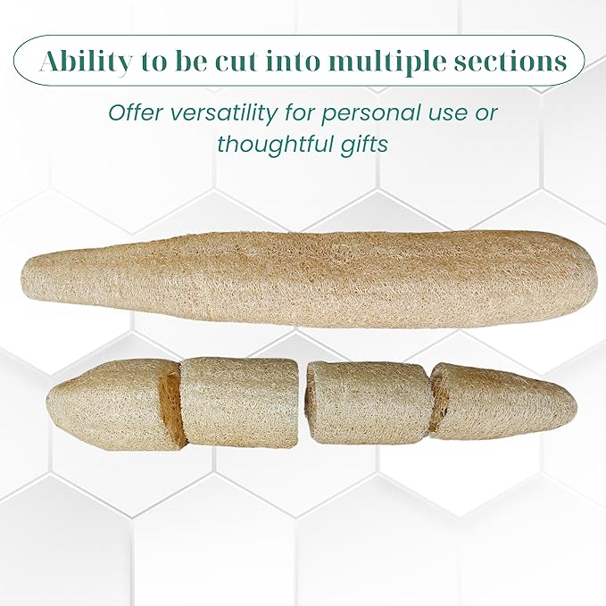 5 Pcs (14 – 16 Inches) Natural Loofah Sponge | Organic Loofah | Shower Loofah Exfoliating Body Scrubber | Bath for Loofah for Men and Women | (5 - Pack)