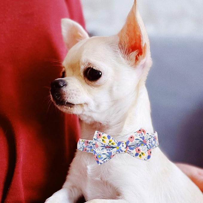 Dog Collar and Leash Set Girls Adjustable Puppy Collars with Floral Bow Tie for Small Medium Large Female Dogs, Blue Flower, M