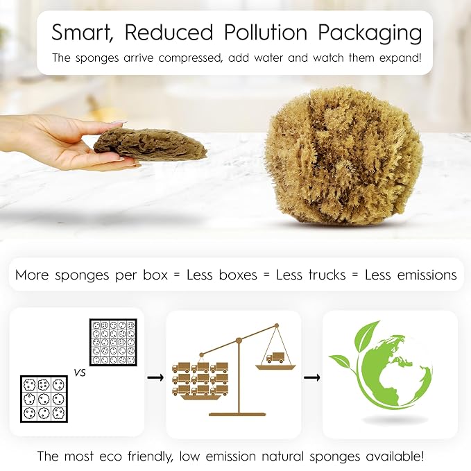 Naroa Exfoliating Natural Sponge for Shower X Large | Bath Sea Loofah for Healthy Skin | Unbleached Bathing Body Scrubber Puff | Plastic Free