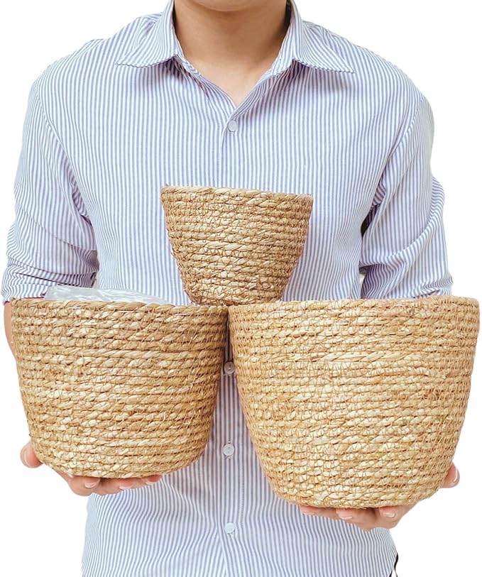 Laquedecraft Woven Seagrass Plant Basket Without Handles | Decorative Planter for Small-Space Living or Natural Home Styling | Perfect for Living Room, Balcony, Patio, Kitchen or Gadren (Set of 3)