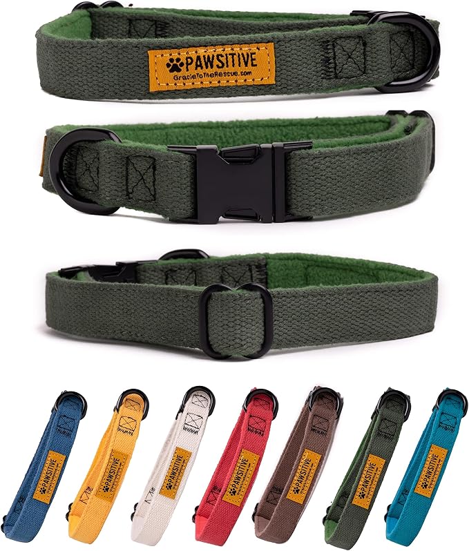 Pawsitive Dark Green Dog Collar Hemp Dog Collar - Soft Hypoallergenic Lining. Made from Sustainable Hemp Fabric. Small Forest Green
