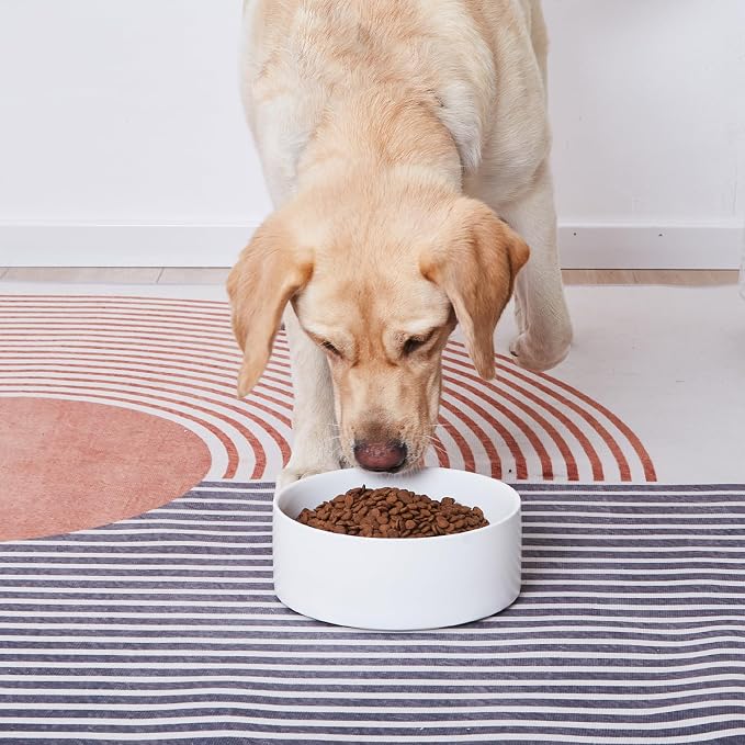 8'' Ceramic Dog Bowl - 70Oz Classic Dogs Food & Water Bowl for Medium and Large Breeds, Heavy-Duty Non-Slip Dog Dish, Food Grade Stoneware Pet Bowl, Dishwasher & Microwave Safe, White