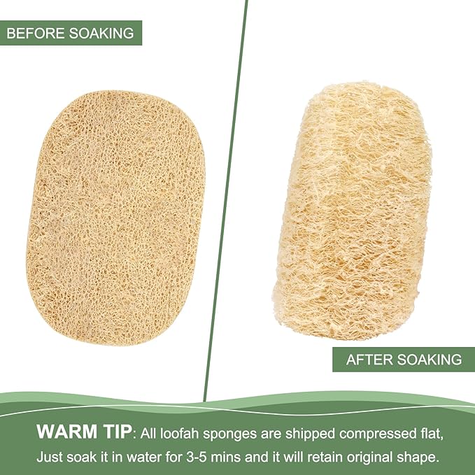 Scrub Loofah Sponges, Natural Luffa Kitchen Dish Sponge, Non Scratch Cleaning Sponge for Kitchen, Bathroom, Household, Biodegradable, Compostable, Pack of 6 (Oval)