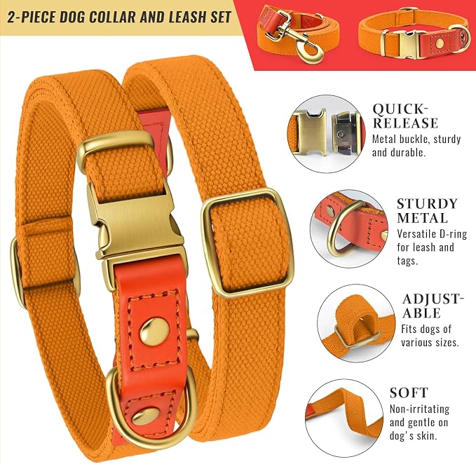 Dog Collar and Leash Set with Metal Quick Release Buckle, Adjustable, Breathable Nylon, Durable, Soft and Comfortable, No Pull for Walking and Training, Orange, L (14.9"-22.8")