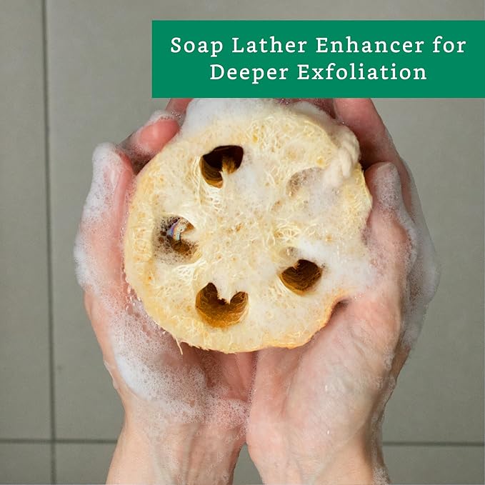Natural Loofah Exfoliating Sponge (4 Pack) - Loofa Exfoliating Body Scrubber - Biodegradable Organic Loofah Sponge - Shower Luffa Sponges - Shower Lufa - Estropajos para el Cuerpo