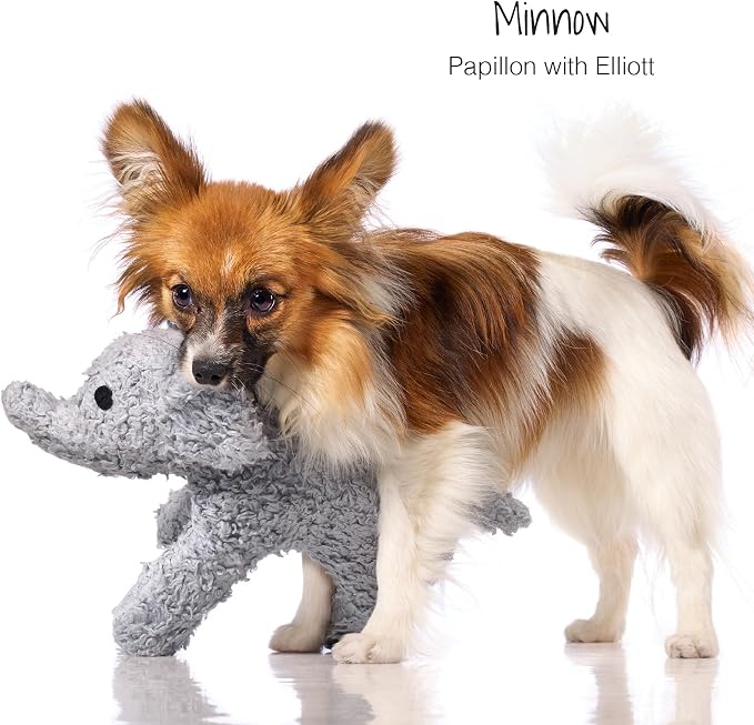 Plush Durable Cotton Dog Toys with Coconut Fill for All Pet Breeds, Bear Bunny Elephant (with Basket), One Size