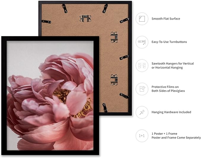 Monem Art Blush Pink Peony Print - Minimalist Floral Photography Poster - Wall Decor for Living Room, Bedroom or Office - 12x16 Black Framed Wall Art by Mareike Bohmer