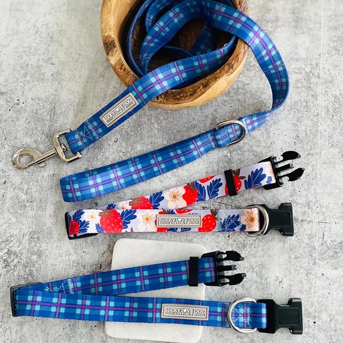 Lucky Love Dog - Adjustable Dog Collar with Easy Click Buckle for Medium Dogs, Durable, & Comfortable for Male & Female Dogs, Pet Collar for Puppies & Adult Ones - Scotty, Medium