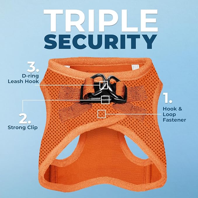 Best Pet Supplies Voyager Step-in Air All Weather Mesh Harness and Reflective Dog 5ft Leash Combo with Neoprene Handle, for Small, Medium and Large Breed Puppies - Orange, X-Large