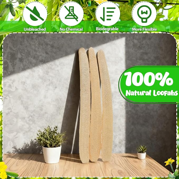 3 PCS 27.6-31.5 inch Large Natural Loofah Sponge Organic Exfoliating Scrubber for Shower Bath Body Dish Cleaning for Men Women