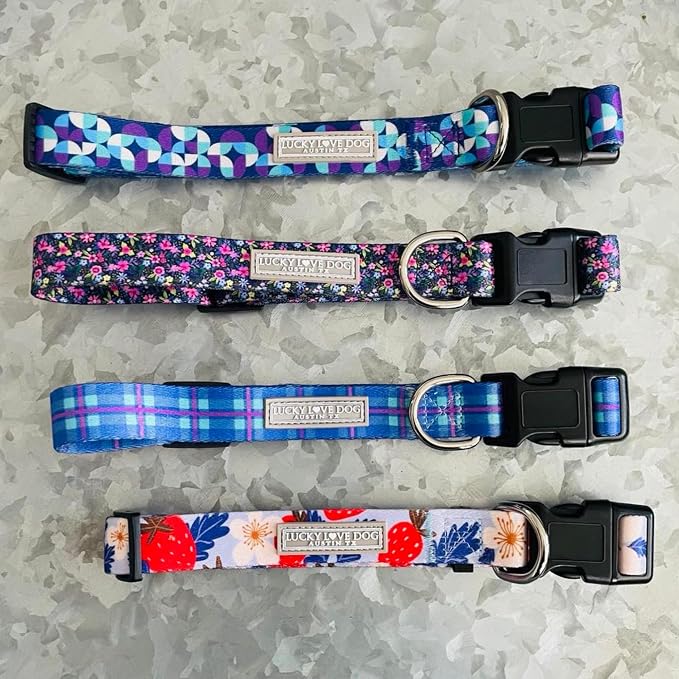 Lucky Love Dog - Adjustable Dog Collar and Leash Set with Easy Click Buckle for Medium Dogs, Durable, & Comfortable Collar for Male & Female Dogs, Puppies & Adult Ones - Jasper Combo, Medium