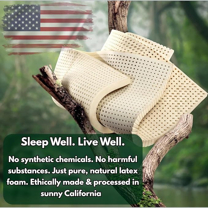 eConsumersUSA Organic Shredded Latex Foam 5lbs, 10lbs, 20lbs, 40lbs Made in USA 40 Pounds