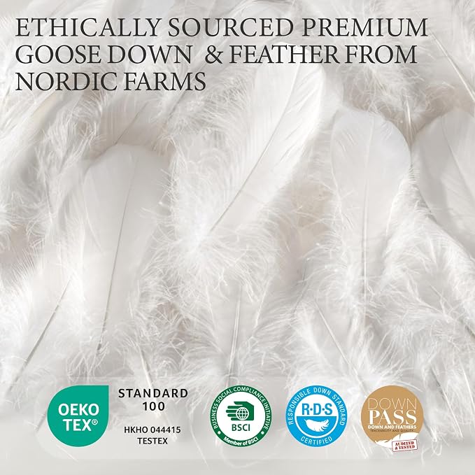 SANSWAN Queen Size Winter Goose Down Feather Comforter, Breathable Heavyweight Hotel Duvet Insert, 100% Organic Cotton Cover, Ultra Soft & Warm, 90x90 Inch, White