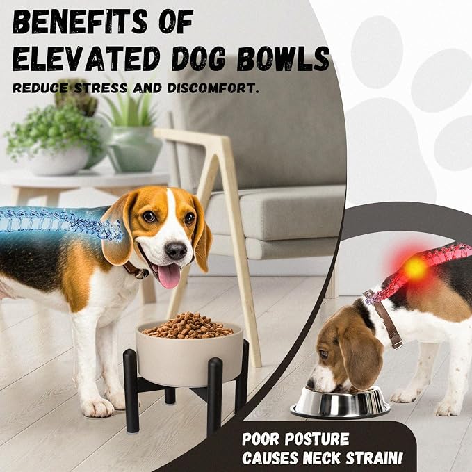 Raised Ceramic Dog Bowl, 6.1'' Modern Feeding Bowl with Non-Slip Stainless Steel Stand, Elevated Food or Water Dish for Small to Medium Dogs, 2 Cups (28.75 fl oz) - Green