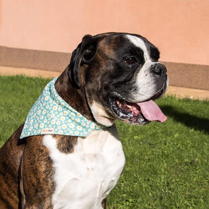 Pettsie Hemp Dog Bandana Collar & Matching Owner Friendship Bracelet | Adjustable, Durable Hemp, Soft & Comfortable, Includes Matching Friendship Bracelet, Secure D-Ring, Green