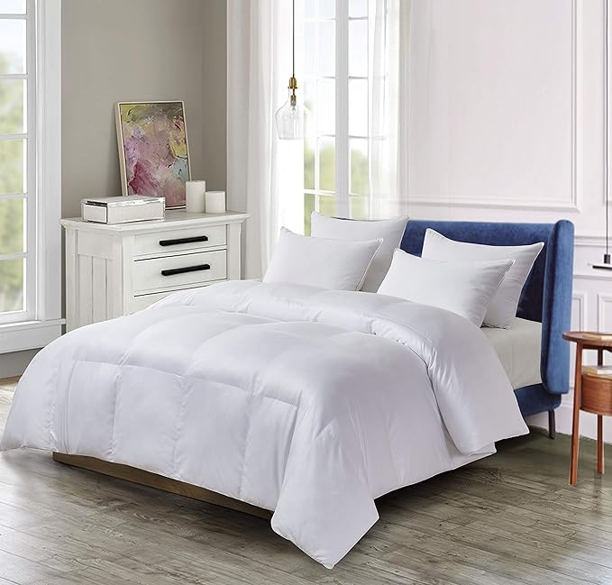Blue Ridge Home Fashions Season Light Weight Down Alternative Comforter-Hypoallergenic Microfiber Fill, Twin, White