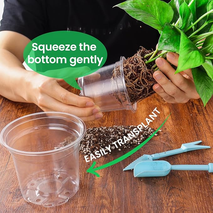 Bluepro 36 Packs 7/5/4/3.5 Inch Reinforced Clear Nursery Pots with Drainage Hole, Transparent Variety Pack Plastic Plant Pot Seedling Planter for Vegetable Propagation, Root Cutting, Seed Starting