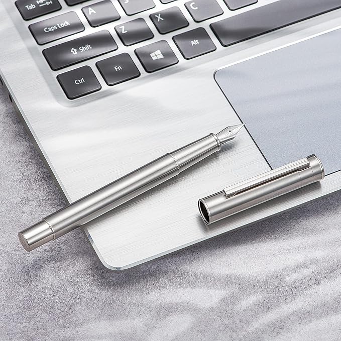 HONG DIAN Forest Pro Silver Stainless Steel Fountain Pen, Extra Fine Nib Classic Design Smooth Writing Pen with Converter and Metal Pen Case Set