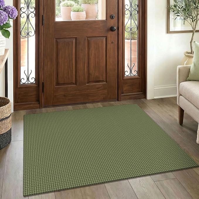 EARTHALL Woven Area Rug 3x4 Ft Washable Rugs for Entryway Braided Non Slip Rubber Backed Throw Rugs Door Mat Indoor Outdoor Entrance Cotton Carpet for Kitchen Foyer Front Door, Green