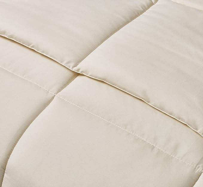 Blue Ridge Home Fashions Microfiber Light Weight Solid Down Alternative All Season Comforter-Hypoallergenic Polyester Fill, Twin, Ivory