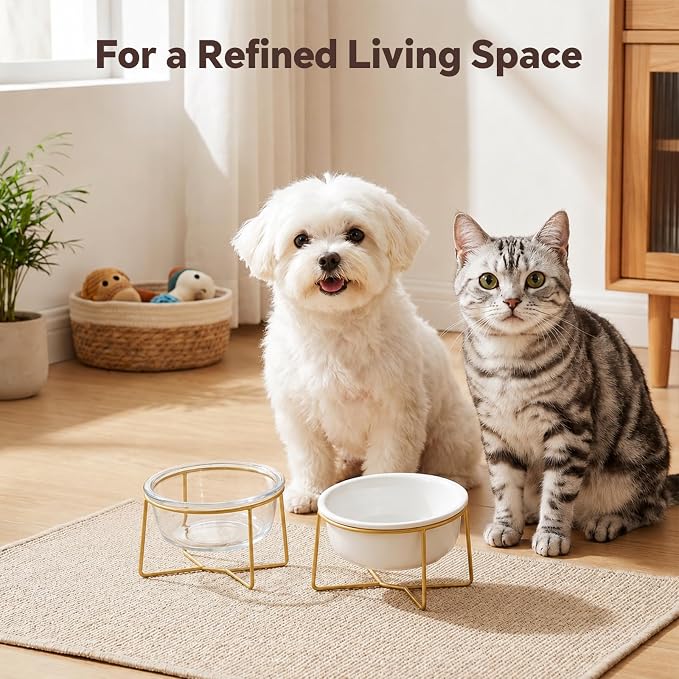 Small Glass Tilted Elevated Cat Dog Bowl Raised Cat Food Water Bowl Dish Pet Comfort Feeding Bowls with Gold Iron Stand