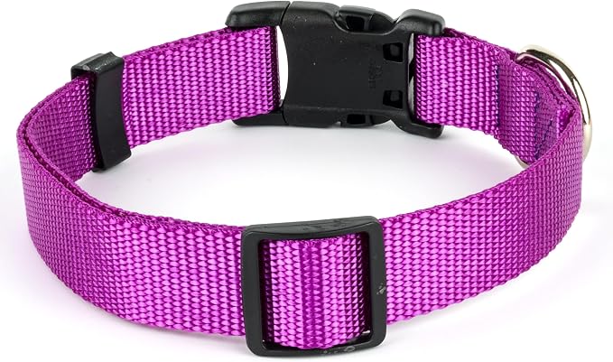 Country Brook Petz - Everyday Nylon Dog Collar and Leash - 10+ Cool Colors (1 Inch, Extra Large, Bright Purple)