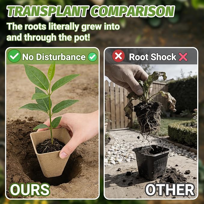 60Pcs 3.1 Inch Square Peat Pots - Nursery Pots with Drainage Holes for Seedlings - Biodegradable Seed Starting Pots with 60Pcs Plant Labels for Garden Plants